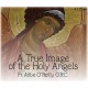 Holy Angels 4 - St. Raphael the Archangel - Fr. Ailbe O'Reilly
